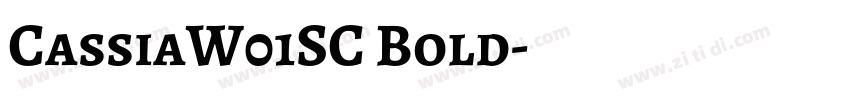 CassiaW01SC Bold字体转换